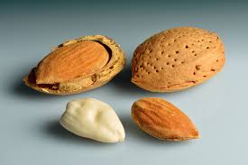 Almond Shell